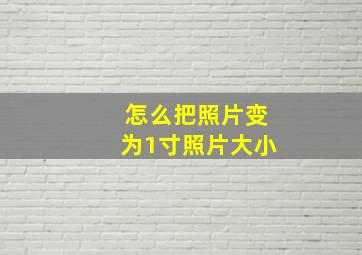 怎么把照片变为1寸照片大小