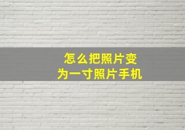 怎么把照片变为一寸照片手机