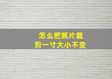 怎么把照片裁剪一寸大小不变