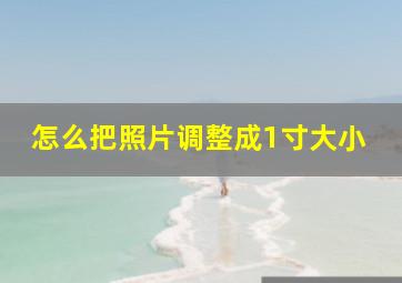 怎么把照片调整成1寸大小