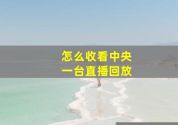 怎么收看中央一台直播回放