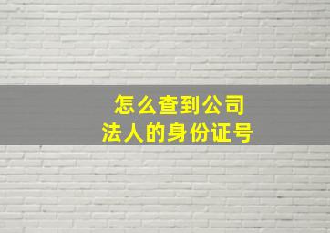 怎么查到公司法人的身份证号