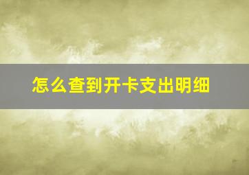 怎么查到开卡支出明细