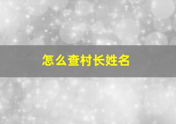 怎么查村长姓名