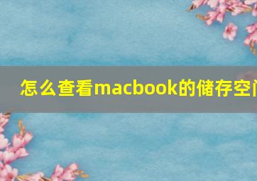 怎么查看macbook的储存空间