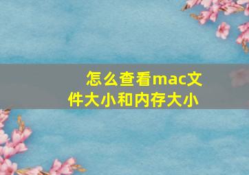 怎么查看mac文件大小和内存大小