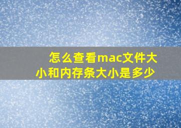 怎么查看mac文件大小和内存条大小是多少