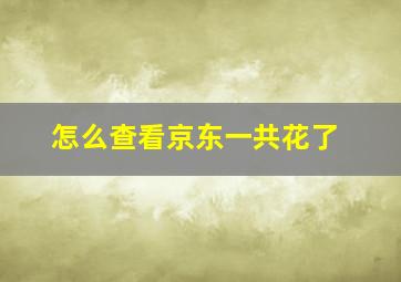 怎么查看京东一共花了