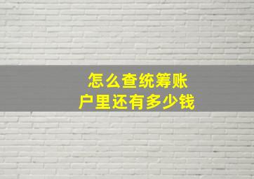 怎么查统筹账户里还有多少钱