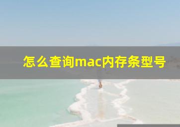 怎么查询mac内存条型号