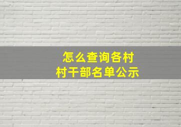 怎么查询各村村干部名单公示