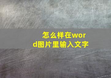 怎么样在word图片里输入文字