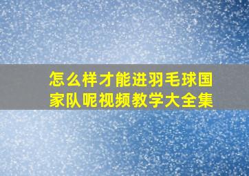 怎么样才能进羽毛球国家队呢视频教学大全集