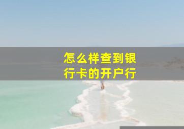 怎么样查到银行卡的开户行