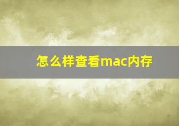 怎么样查看mac内存