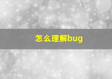 怎么理解bug