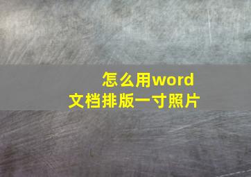 怎么用word文档排版一寸照片