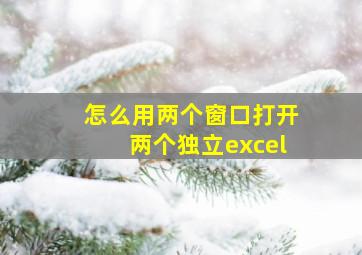 怎么用两个窗口打开两个独立excel