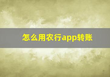 怎么用农行app转账