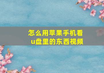 怎么用苹果手机看u盘里的东西视频