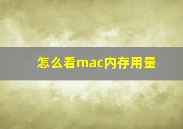 怎么看mac内存用量