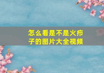 怎么看是不是火疖子的图片大全视频