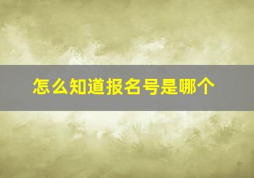 怎么知道报名号是哪个