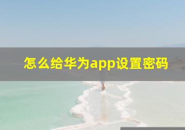 怎么给华为app设置密码