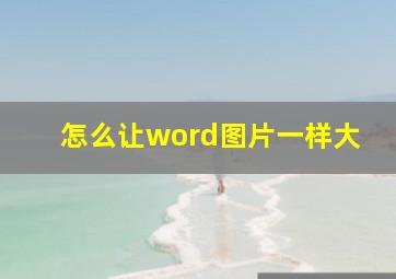 怎么让word图片一样大