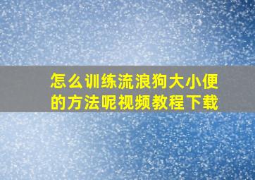 怎么训练流浪狗大小便的方法呢视频教程下载