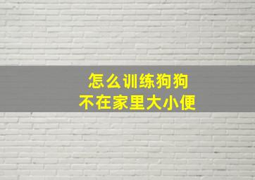 怎么训练狗狗不在家里大小便