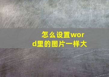 怎么设置word里的图片一样大