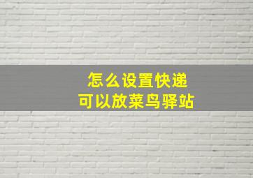 怎么设置快递可以放菜鸟驿站