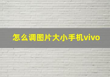 怎么调图片大小手机vivo