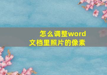 怎么调整word文档里照片的像素