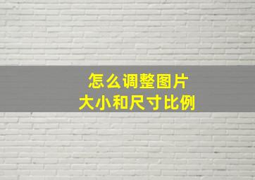 怎么调整图片大小和尺寸比例