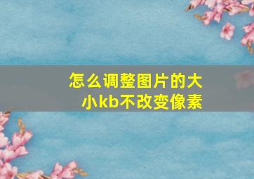 怎么调整图片的大小kb不改变像素