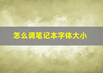 怎么调笔记本字体大小