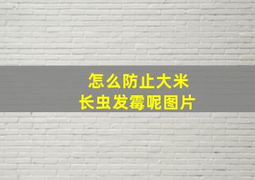 怎么防止大米长虫发霉呢图片