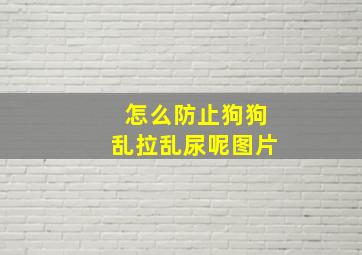 怎么防止狗狗乱拉乱尿呢图片