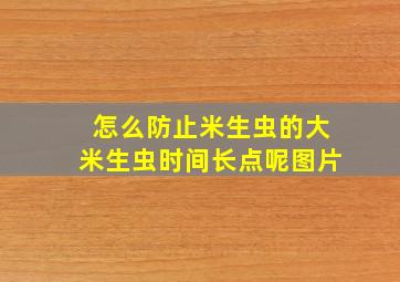 怎么防止米生虫的大米生虫时间长点呢图片