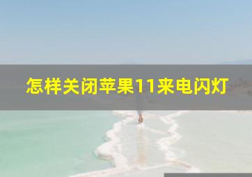 怎样关闭苹果11来电闪灯