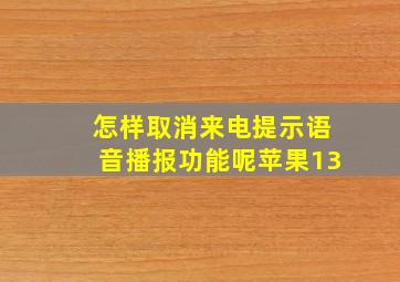 怎样取消来电提示语音播报功能呢苹果13