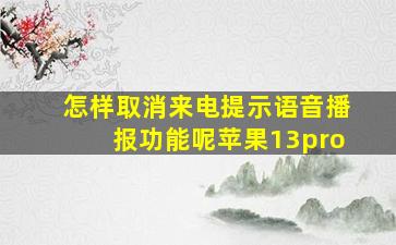 怎样取消来电提示语音播报功能呢苹果13pro