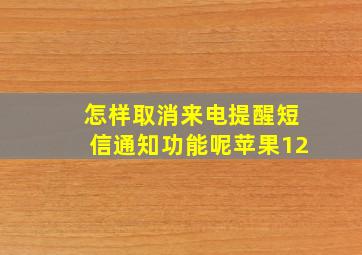 怎样取消来电提醒短信通知功能呢苹果12