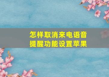 怎样取消来电语音提醒功能设置苹果