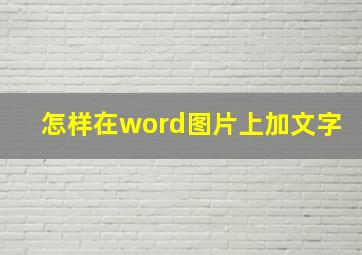 怎样在word图片上加文字