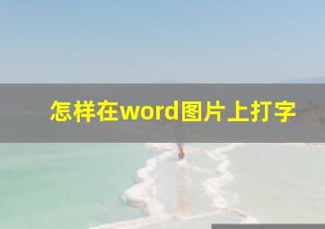 怎样在word图片上打字