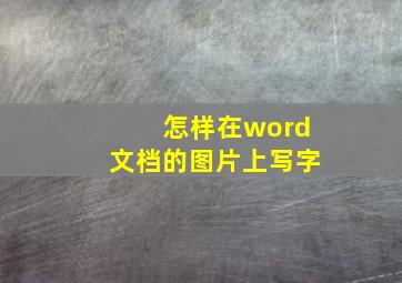 怎样在word文档的图片上写字