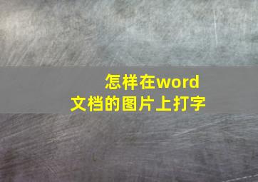 怎样在word文档的图片上打字